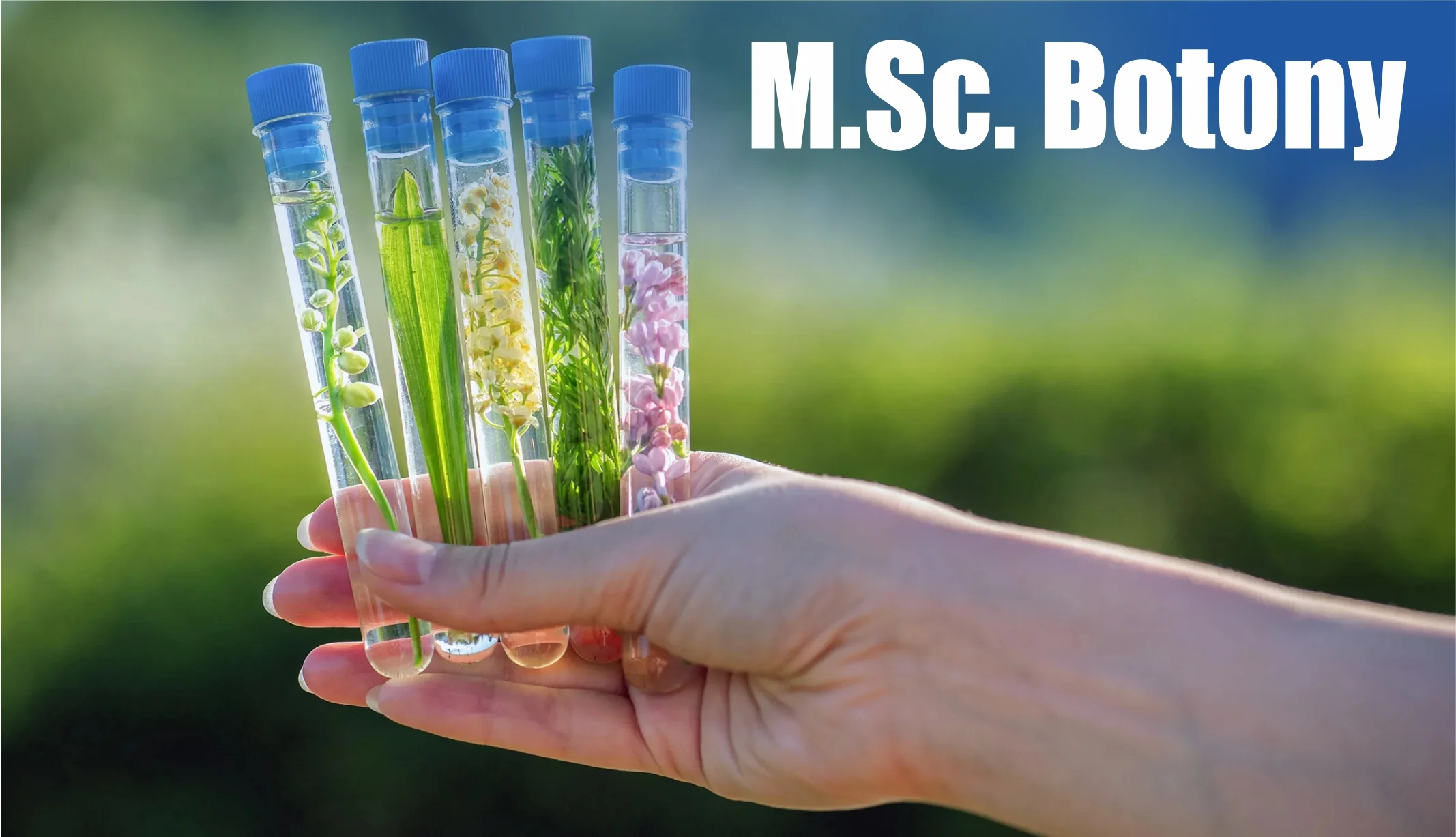 BFIT | Best MSc Botany College in Dehradun, Uttarakhand